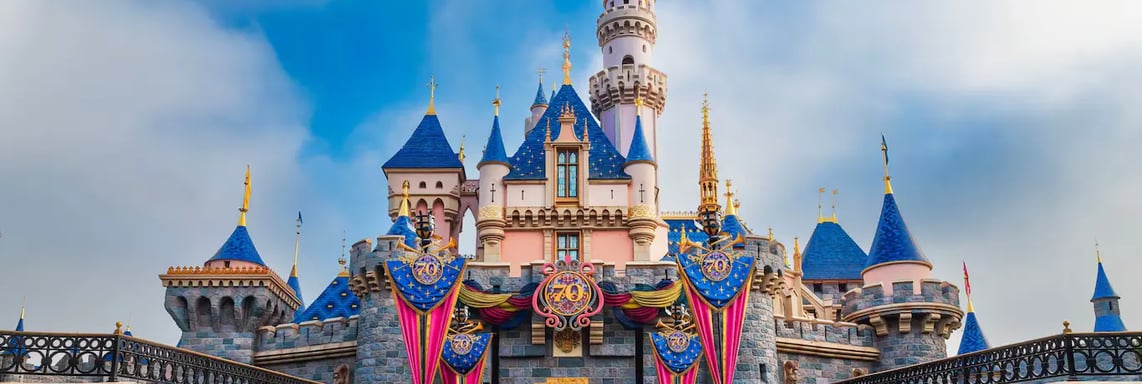 Anaheim is now part of Want Travel
